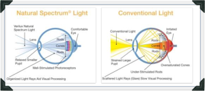 Verilux Giveaway