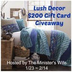 Lush Decor Giveaway