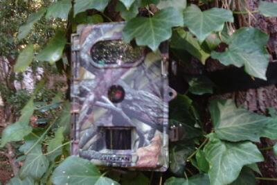 XIKEZAN Wildlife, Trail, & Game Camera - An affordable yet dependable game camera that hunters can rely on in the field! 
