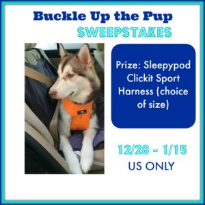 Buckle Up the Pup Sweepstakes 