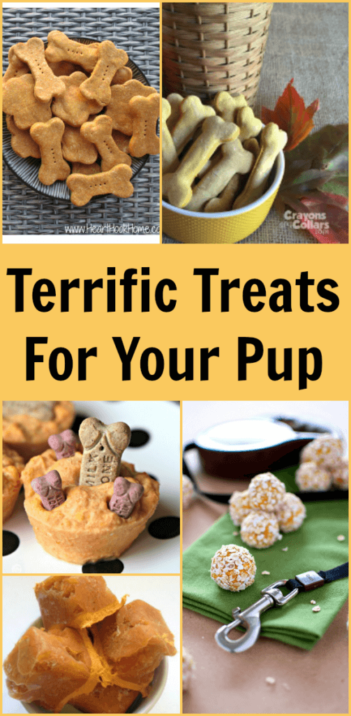 Terrific Treats For Your Pup